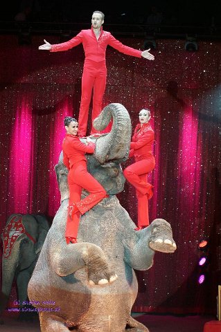 0081Heilbronner Weihnachtscircus2012(c)Stefan Nolte-www.circusphotos.de resized resized